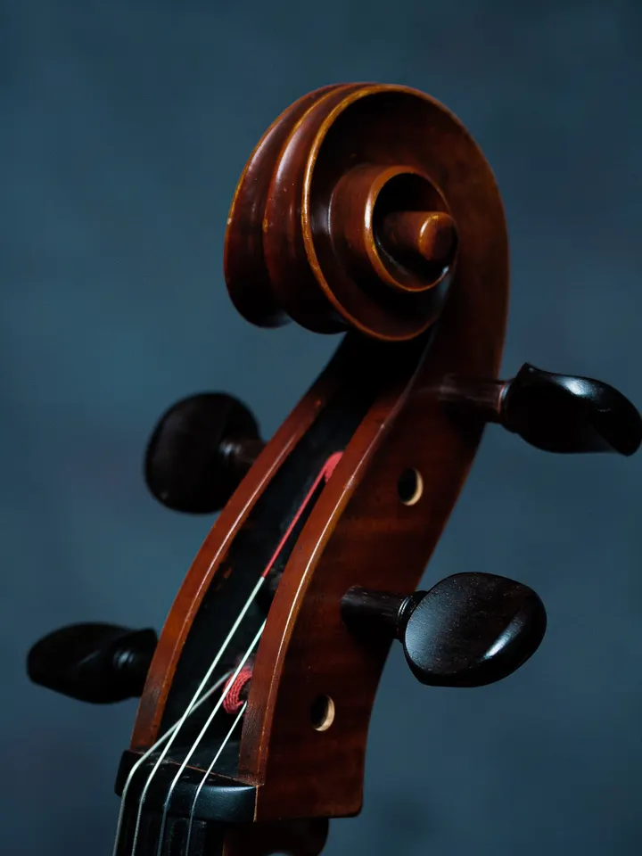 The scroll and tuning pegs of a cello