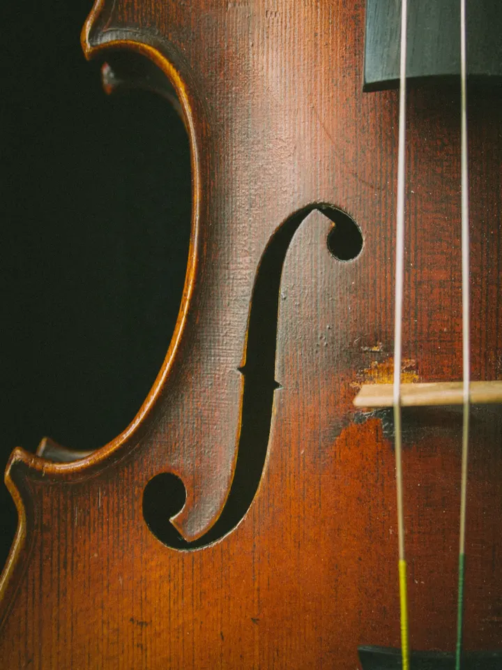 The f-hole and strings of a string instrument, close up
